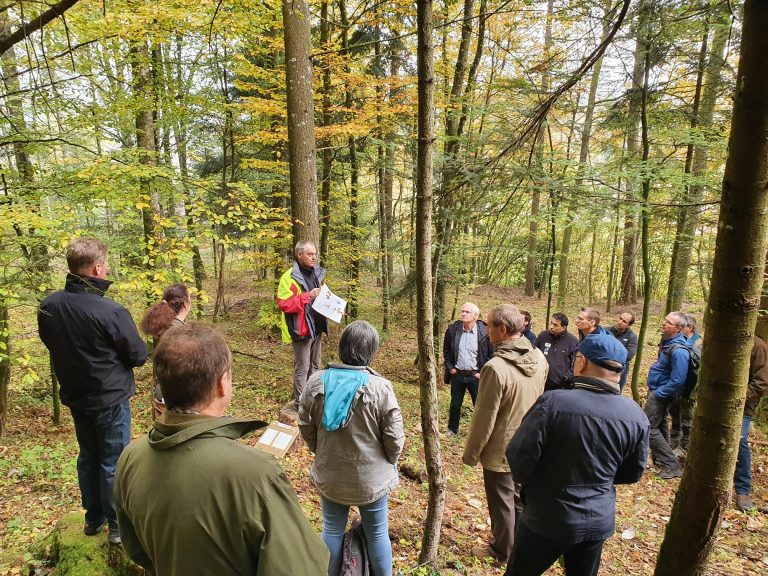Why Integrative Forest Management requires integrative solutions
