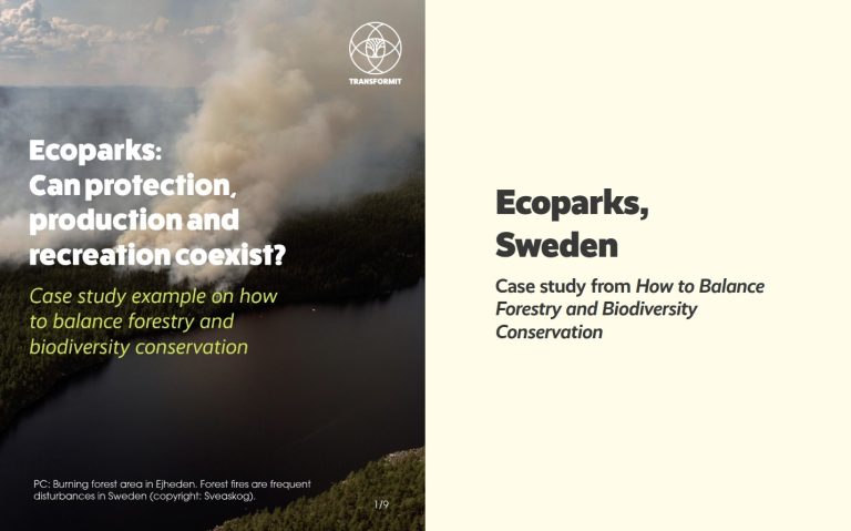 Ecoparks: Can protection, production and recreation coexist?  