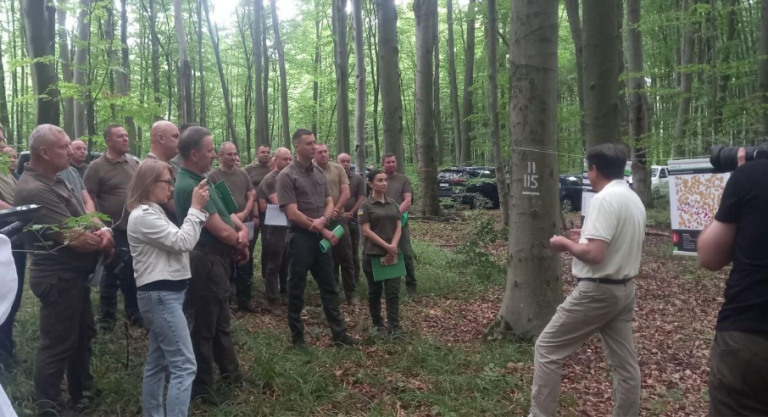 Establishing a Network of Marteloscopes in Western Ukraine